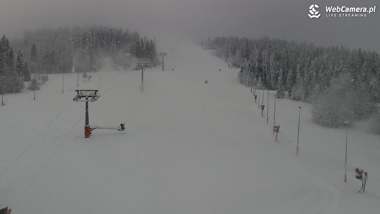 Kotelnica Białczańska - Remiaszów - 23 listopad 2025, 10:45