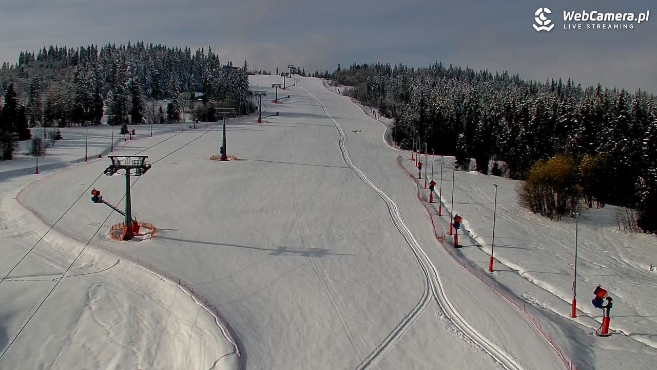 Kotelnica Białczańska - Remiaszów - 01 kwiecień 2026, 08:53