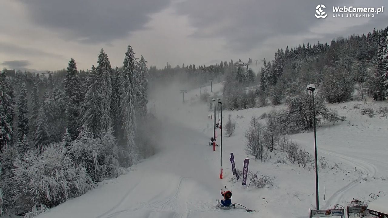 Kotelnica Białczańska - Remiaszów - 24 listopad 2025, 10:57
