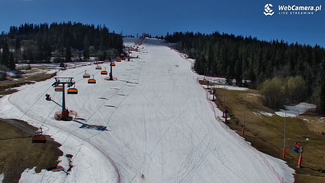 Kotelnica Białczańska - Remiaszów - 07 kwiecień 2026, 11:00