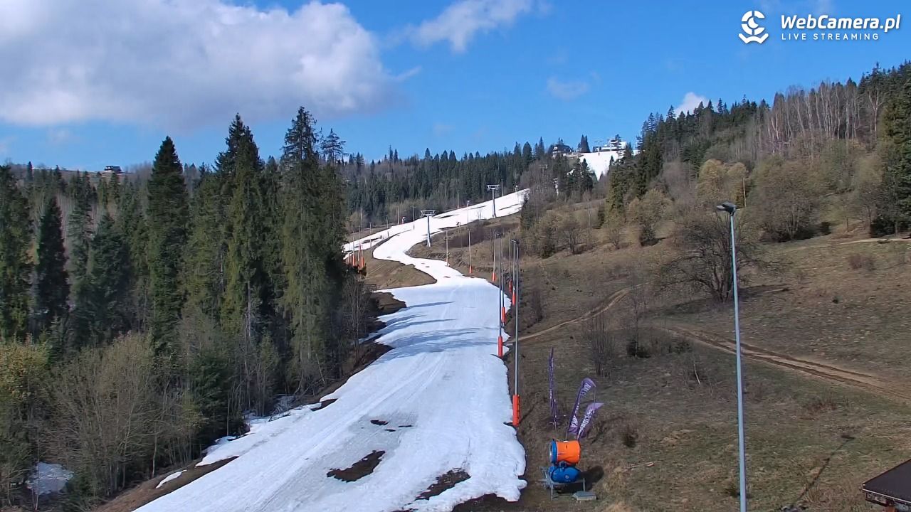 Kotelnica Białczańska - Remiaszów - 10 kwiecień 2026, 09:51