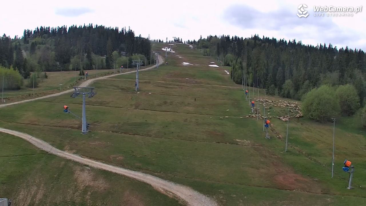 Kotelnica Białczańska - Remiaszów - 07 maj 2026, 10:20