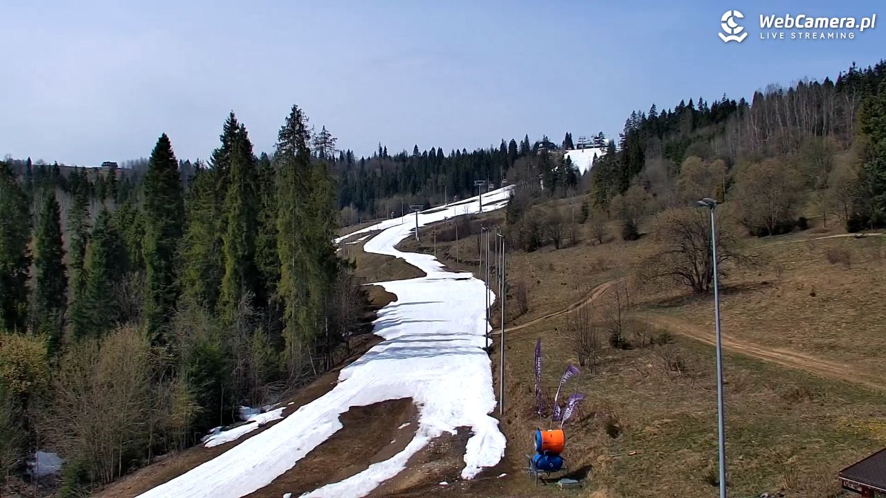 Kotelnica Białczańska - Remiaszów - 14 kwiecień 2026, 11:42