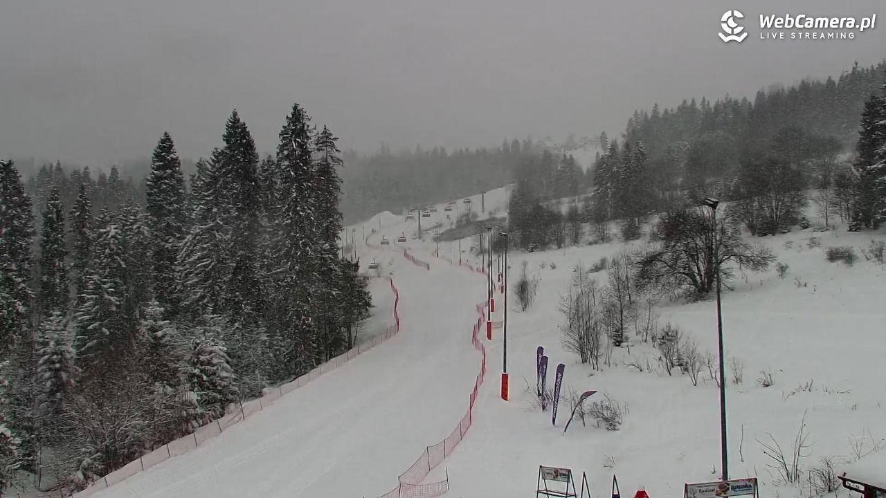 Kotelnica Białczańska - Remiaszów - 11 styczeń 2026, 08:34