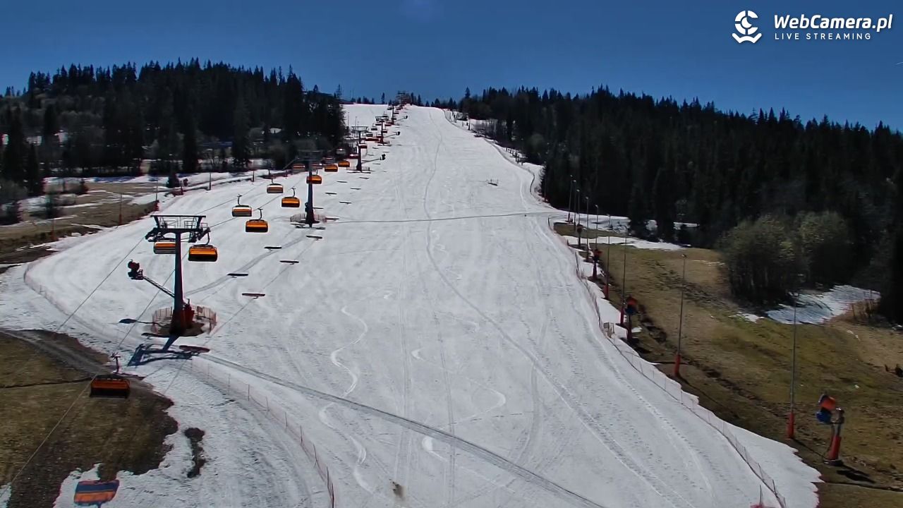 Kotelnica Białczańska - Remiaszów - 07 kwiecień 2026, 13:07