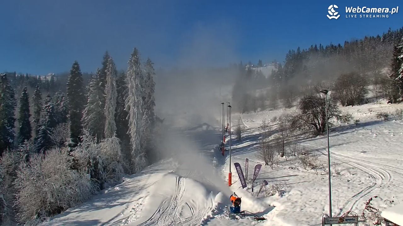 Kotelnica Białczańska - Remiaszów - 28 listopad 2025, 10:38