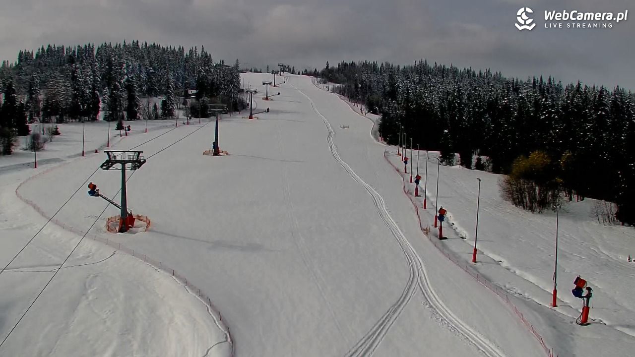 Kotelnica Białczańska - Remiaszów - 01 kwiecień 2026, 09:48