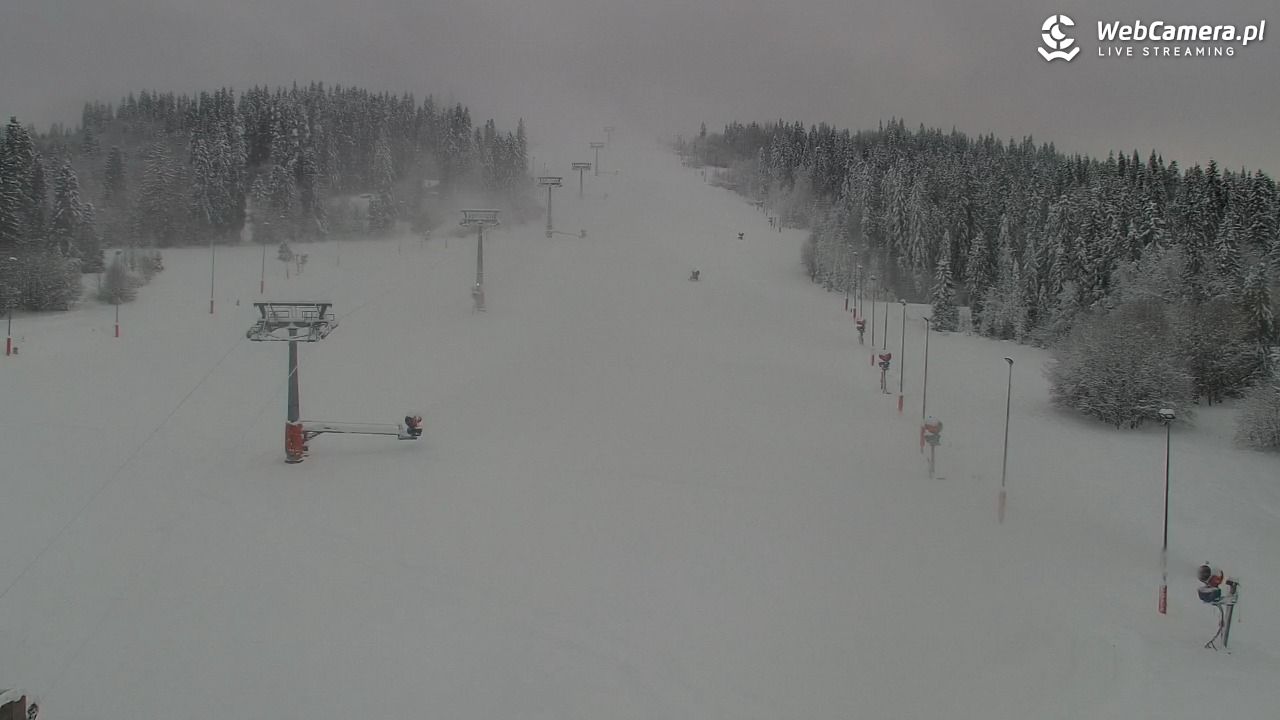 Kotelnica Białczańska - Remiaszów - 23 listopad 2025, 15:01