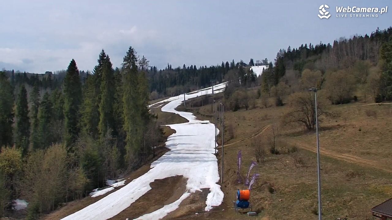 Kotelnica Białczańska - Remiaszów - 14 kwiecień 2026, 12:51