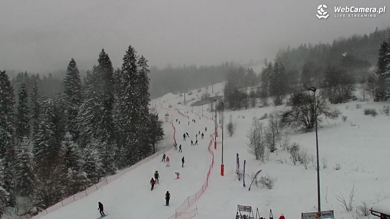 Kotelnica Białczańska - Remiaszów - 11 styczeń 2026, 13:00