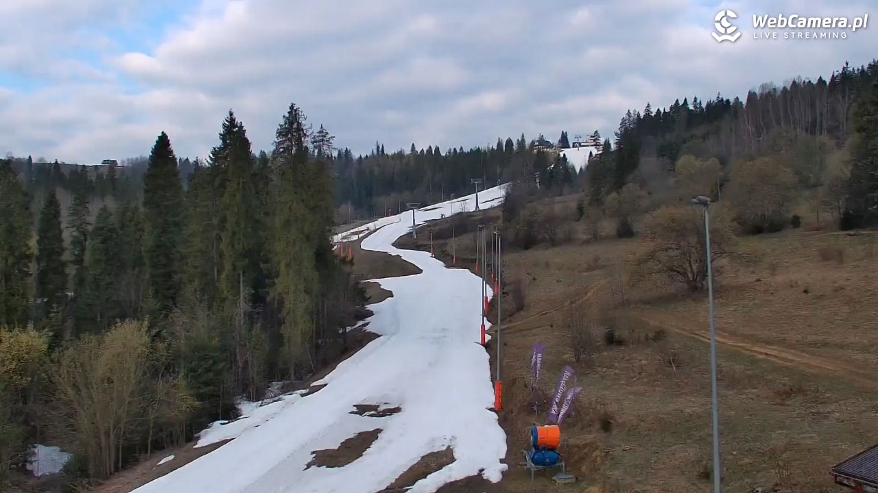 Kotelnica Białczańska - Remiaszów - 11 kwiecień 2026, 07:41