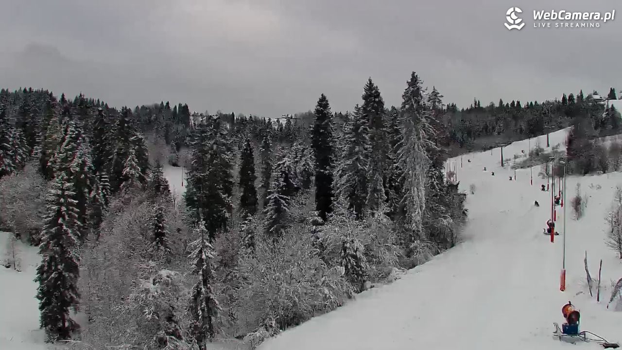 Kotelnica Białczańska - Remiaszów - 27 listopad 2025, 11:20
