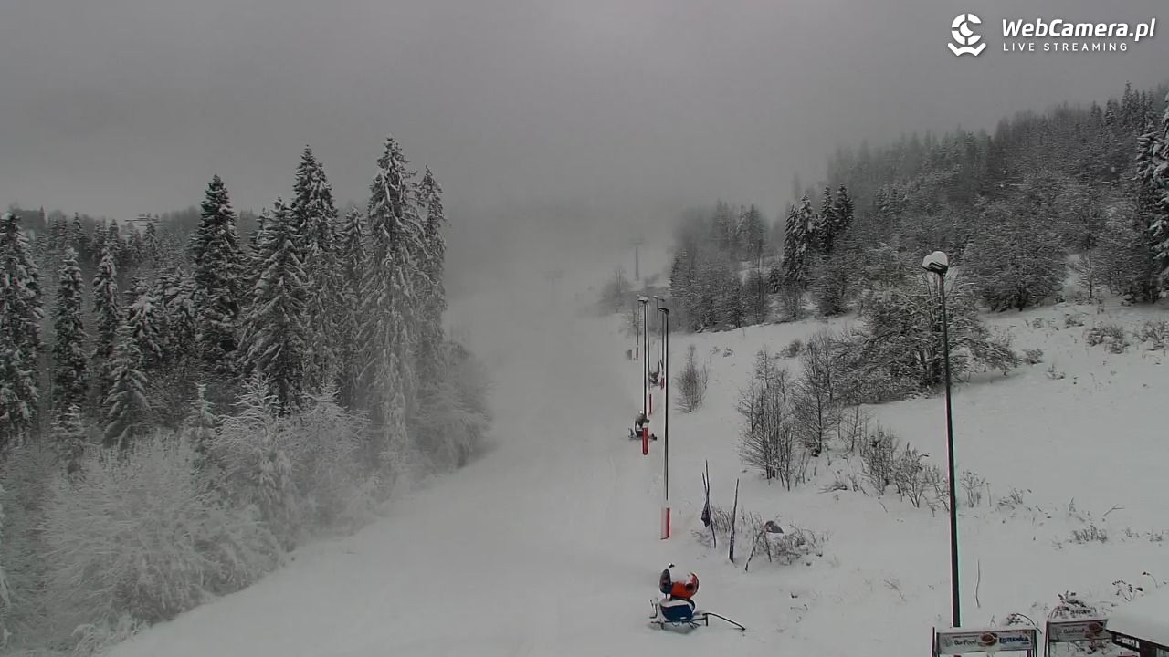 Kotelnica Białczańska - Remiaszów - 23 listopad 2025, 09:23