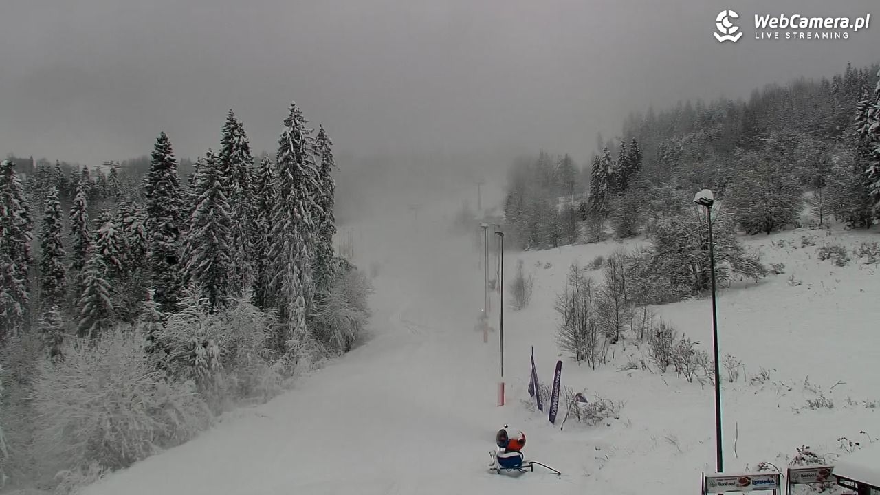 Kotelnica Białczańska - Remiaszów - 23 listopad 2025, 09:23