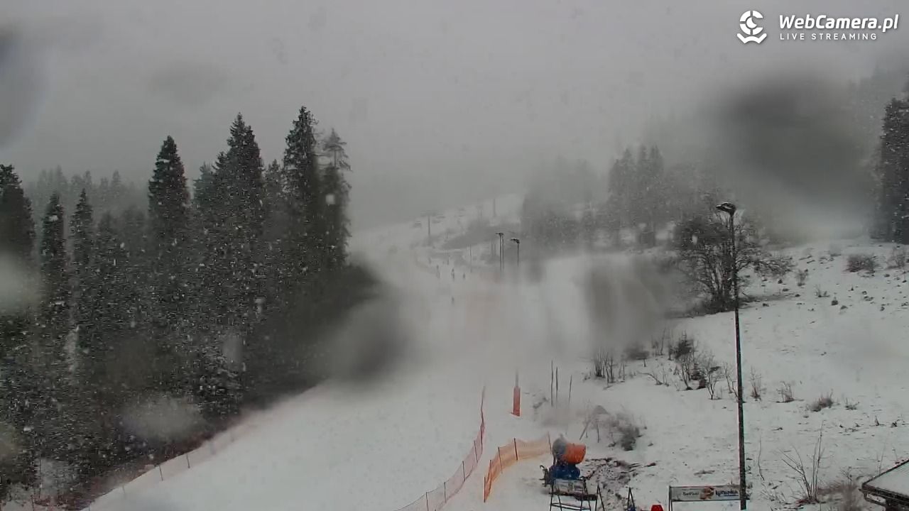 Kotelnica Białczańska - Remiaszów - 24 luty 2026, 10:23