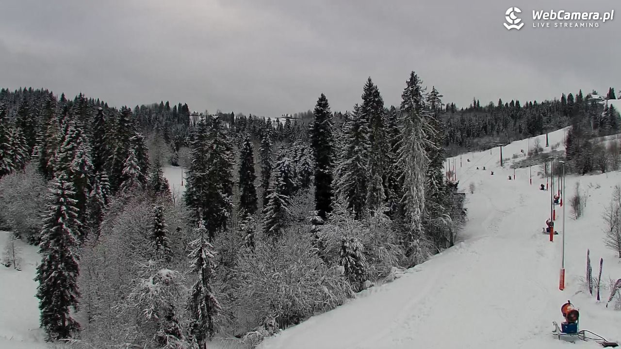 Kotelnica Białczańska - Remiaszów - 27 listopad 2025, 11:20
