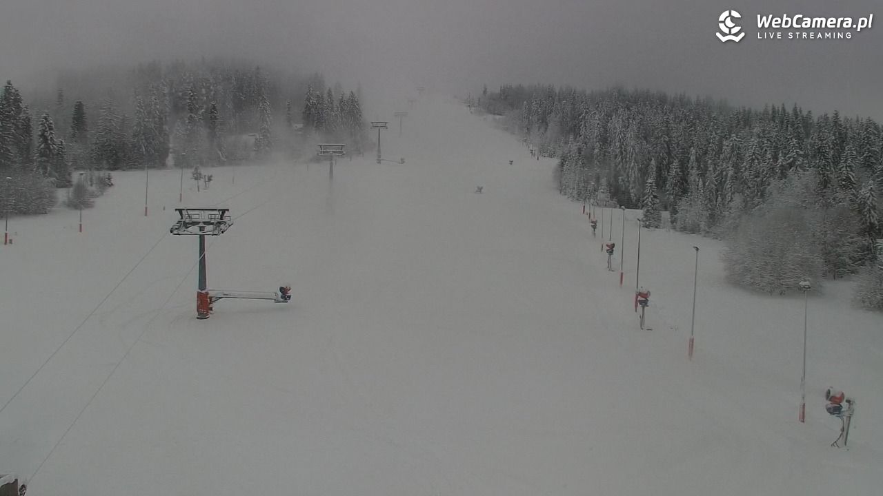 Kotelnica Białczańska - Remiaszów - 23 listopad 2025, 09:48