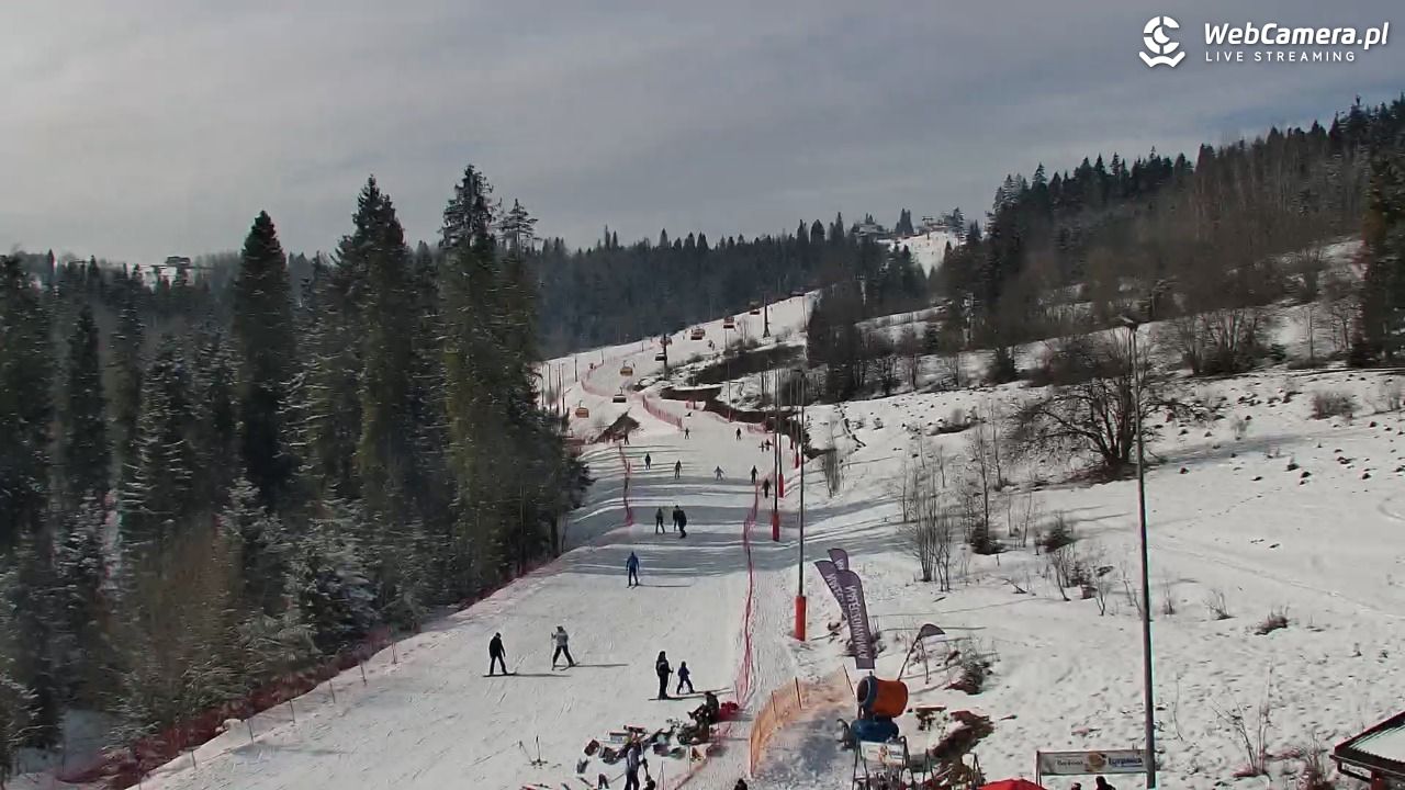 Kotelnica Białczańska - Remiaszów - 17 luty 2026, 12:19