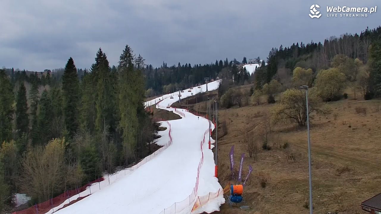 Kotelnica Białczańska - Remiaszów - 24 marzec 2026, 11:36