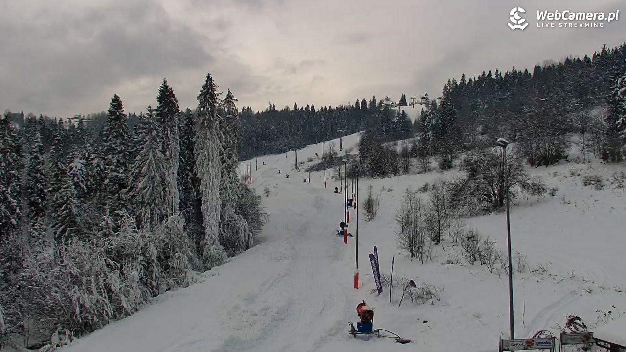 Kotelnica Białczańska - Remiaszów - 25 listopad 2025, 10:33