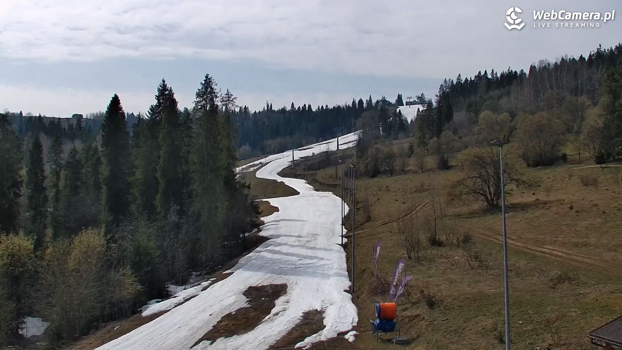 Kotelnica Białczańska - Remiaszów - 12 kwiecień 2026, 14:34