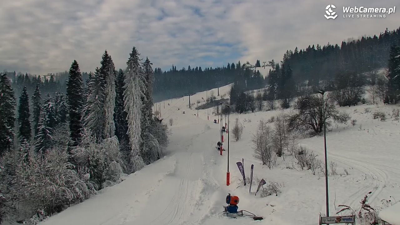 Kotelnica Białczańska - Remiaszów - 29 listopad 2025, 11:03