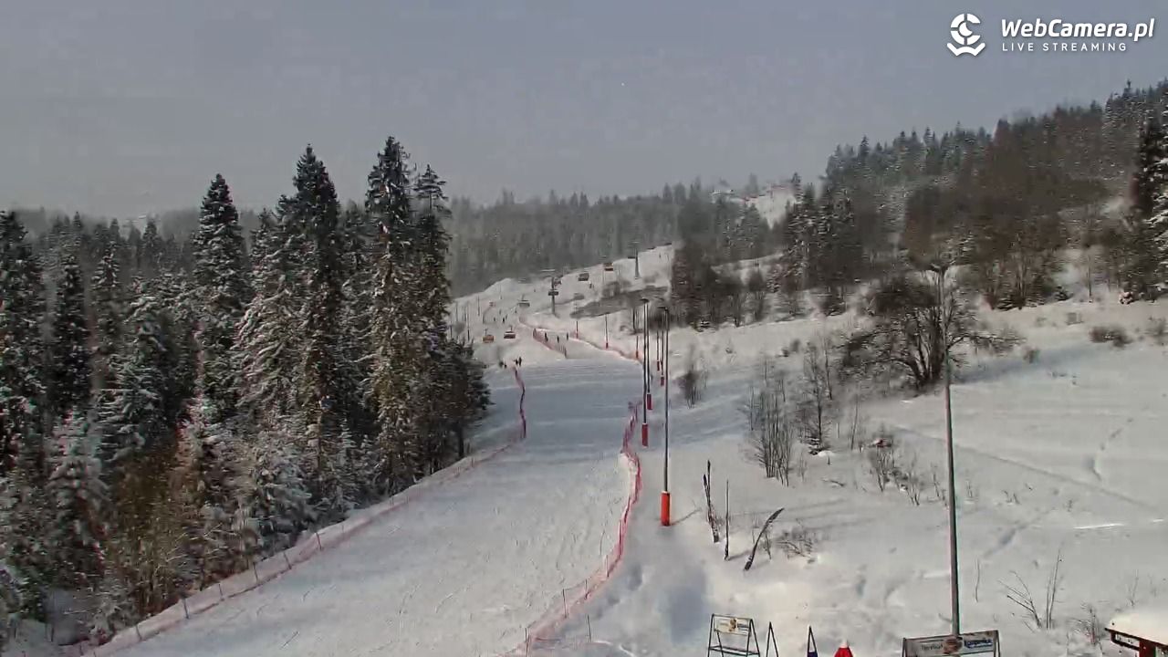 Kotelnica Białczańska - Remiaszów - 12 styczeń 2026, 10:09