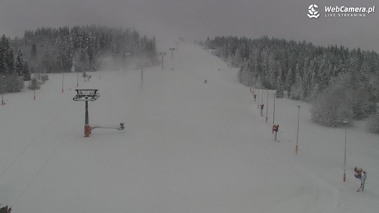 Kotelnica Białczańska - Remiaszów - 23 listopad 2025, 08:17