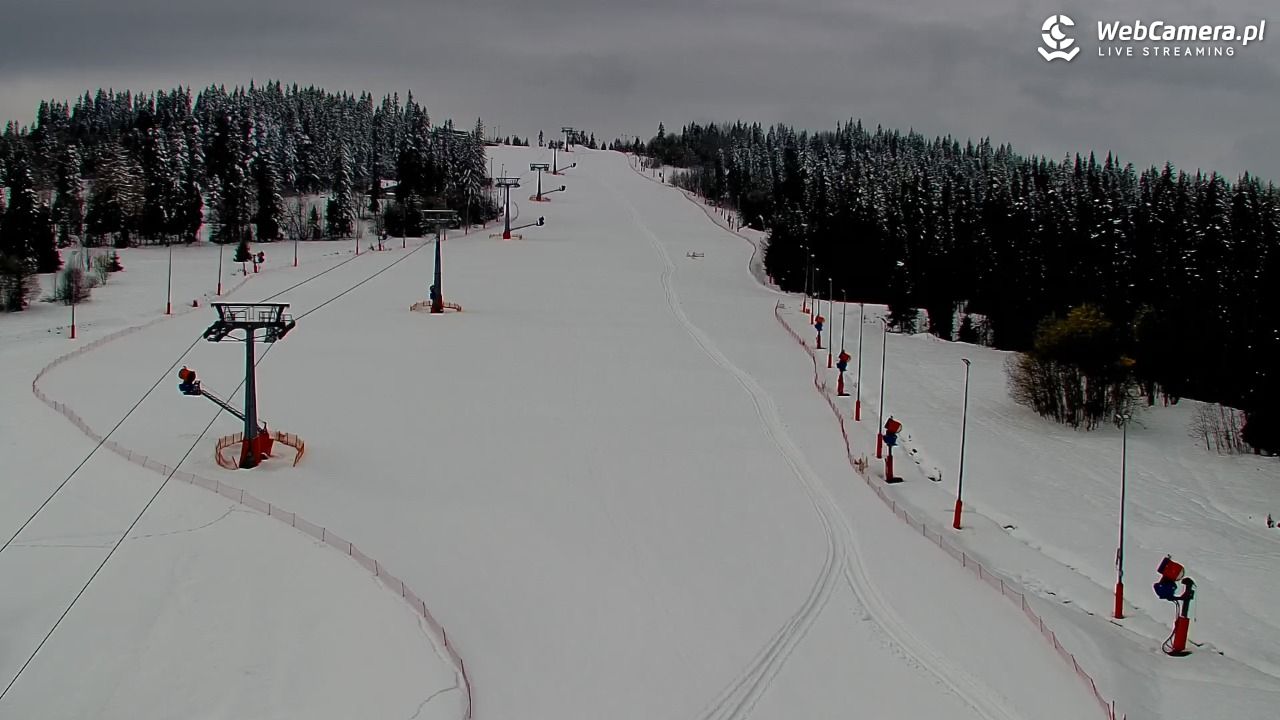 Kotelnica Białczańska - Remiaszów - 01 kwiecień 2026, 10:31