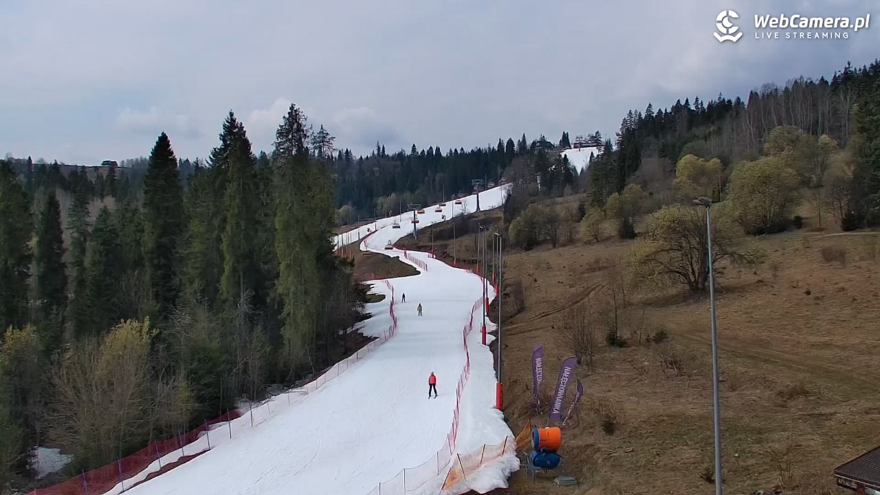 Kotelnica Białczańska - Remiaszów - 24 marzec 2026, 11:05