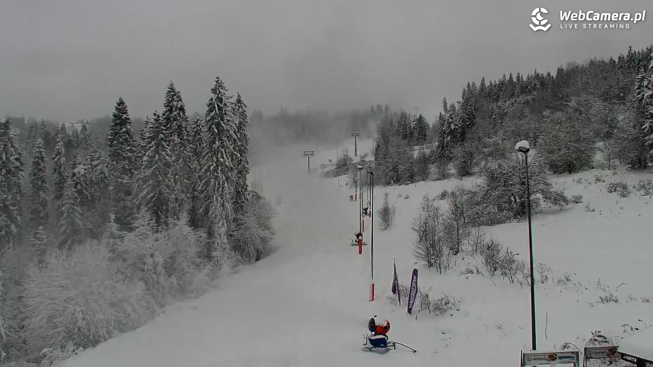 Kotelnica Białczańska - Remiaszów - 23 listopad 2025, 08:50