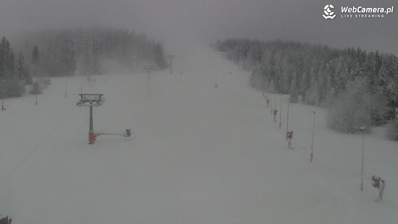 Kotelnica Białczańska - Remiaszów - 23 listopad 2025, 09:47