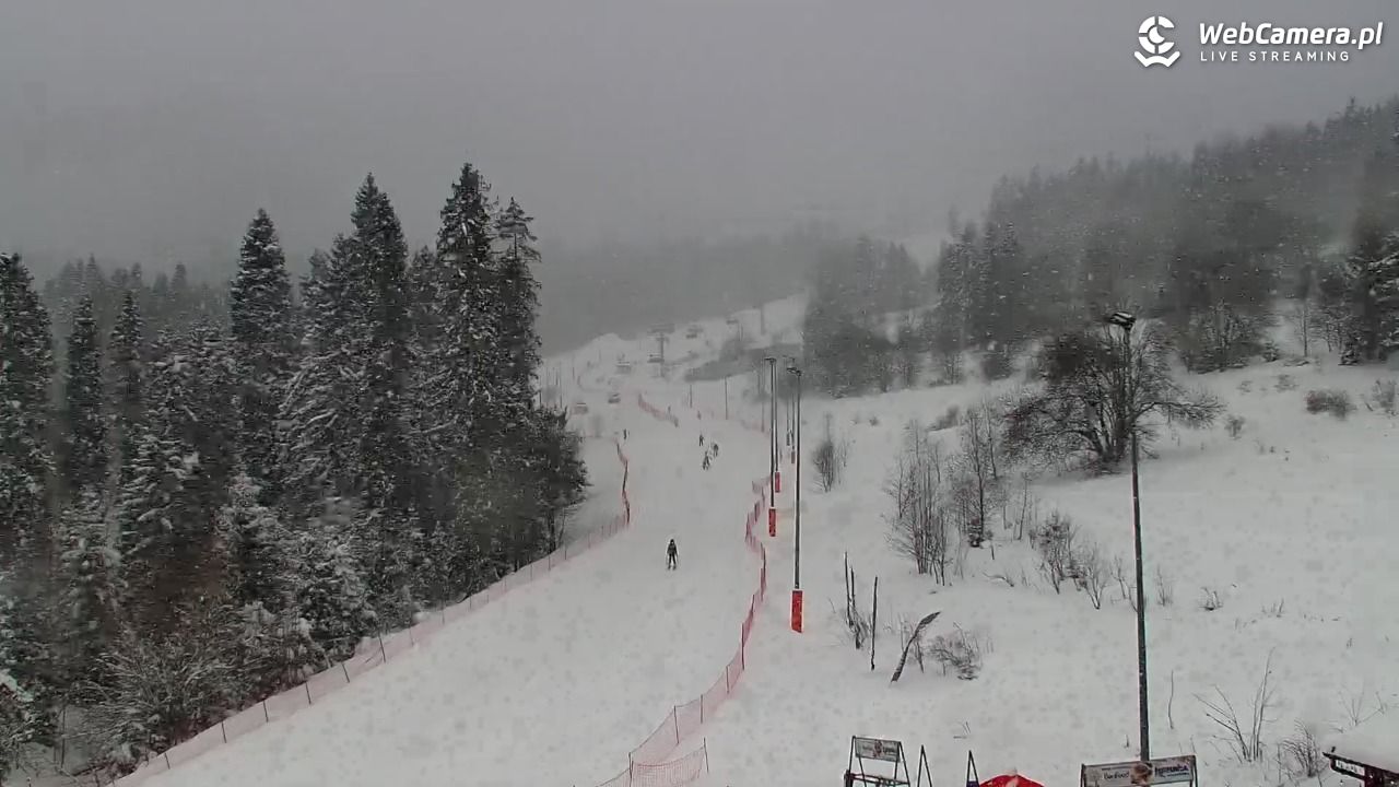 Kotelnica Białczańska - Remiaszów - 11 styczeń 2026, 11:02