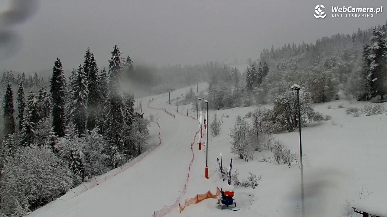 Kotelnica Białczańska - Remiaszów - 31 marzec 2026, 07:38