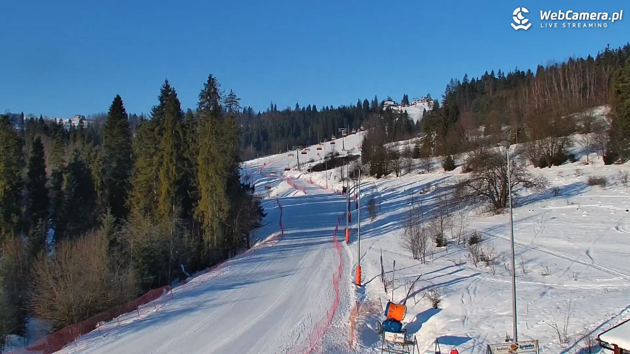 Kotelnica Białczańska - Remiaszów - 17 styczeń 2026, 08:52