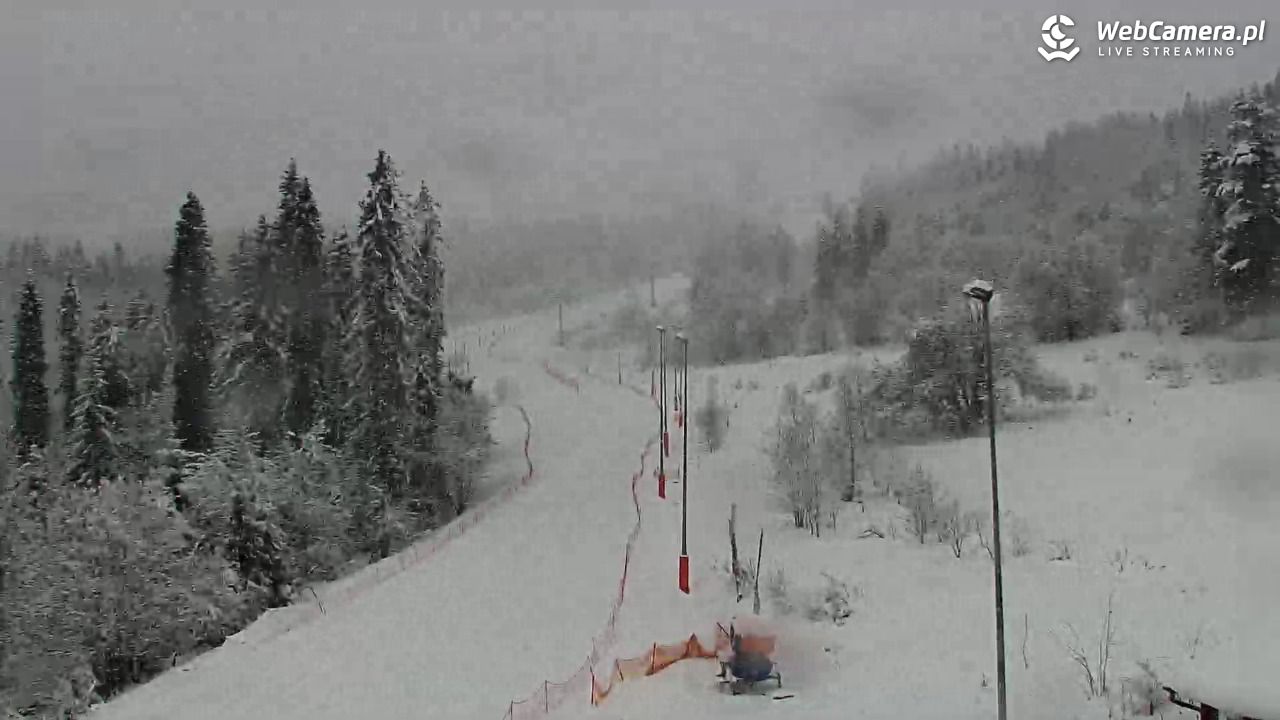 Kotelnica Białczańska - Remiaszów - 31 marzec 2026, 09:25