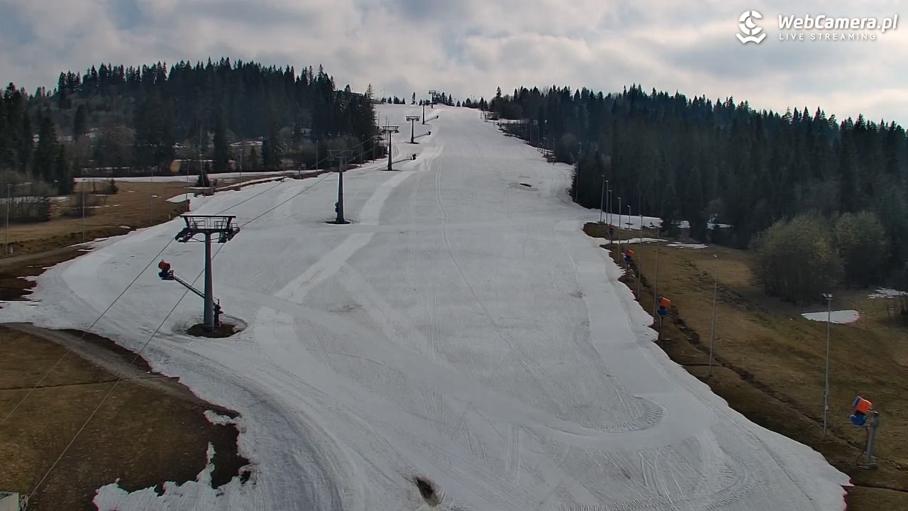 Kotelnica Białczańska - Remiaszów - 11 kwiecień 2026, 15:45