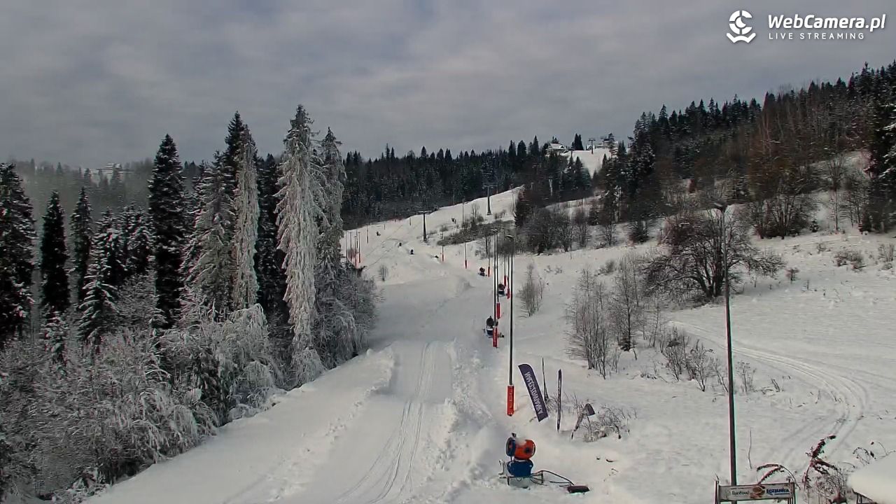 Kotelnica Białczańska - Remiaszów - 29 listopad 2025, 09:30