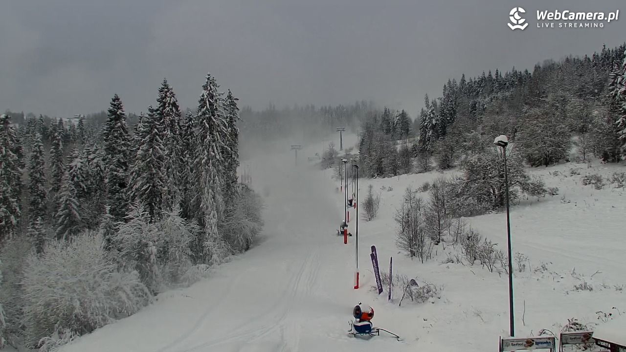 Kotelnica Białczańska - Remiaszów - 23 listopad 2025, 14:34