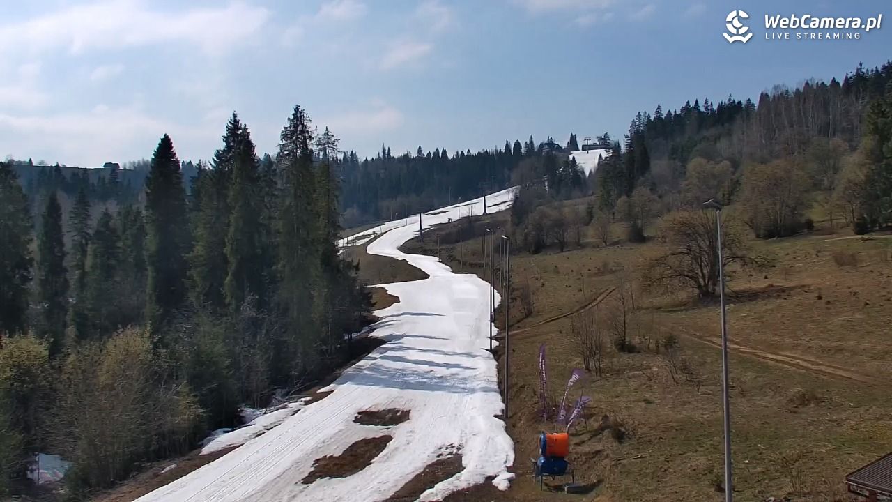 Kotelnica Białczańska - Remiaszów - 11 kwiecień 2026, 14:25
