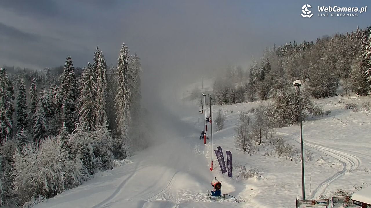 Kotelnica Białczańska - Remiaszów - 24 listopad 2025, 08:53