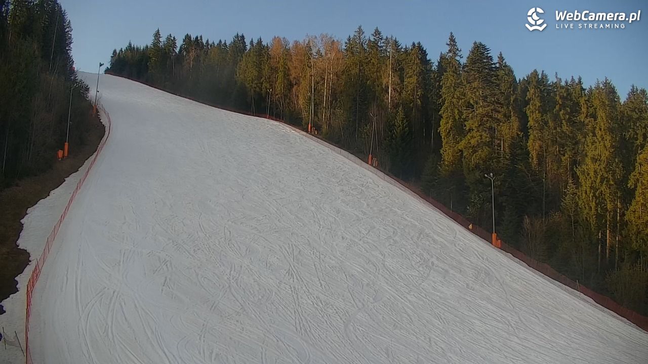 KOTELNICA - Pasieka Express - 18 marzec 2026, 16:21