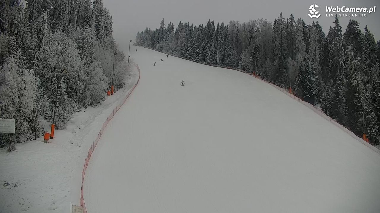 KOTELNICA - Pasieka Express - 01 luty 2026, 14:32