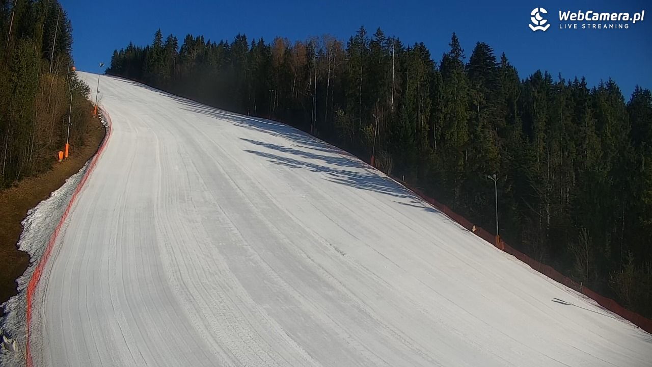 KOTELNICA - Pasieka Express - 19 marzec 2026, 07:36