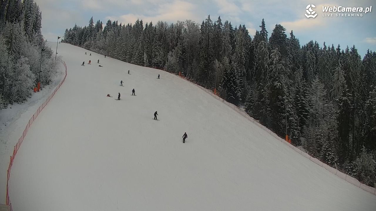 KOTELNICA - Pasieka Express - 02 luty 2026, 15:54