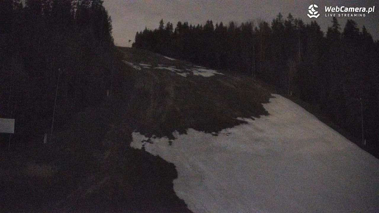 KOTELNICA - Pasieka Express - 30 kwiecień 2026, 21:39