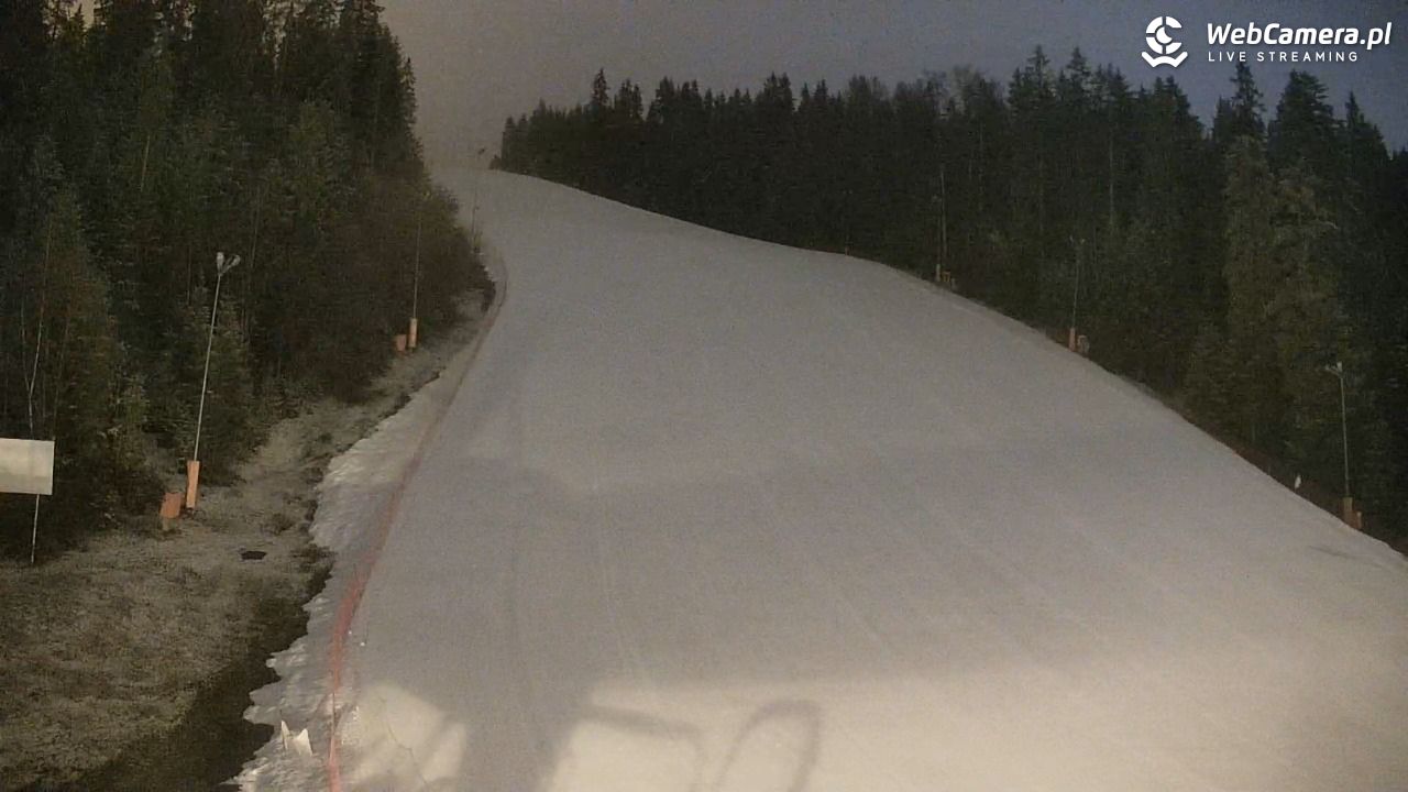 KOTELNICA - Pasieka Express - 17 marzec 2026, 18:56