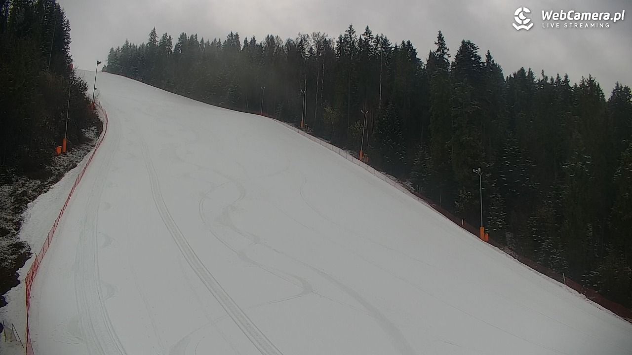 KOTELNICA - Pasieka Express - 21 marzec 2026, 08:18