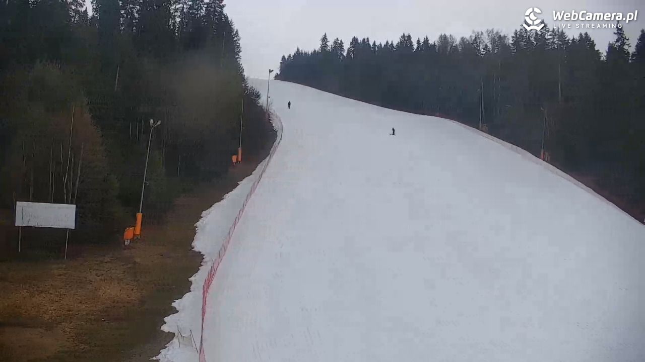 KOTELNICA - Pasieka Express - 17 marzec 2026, 13:10