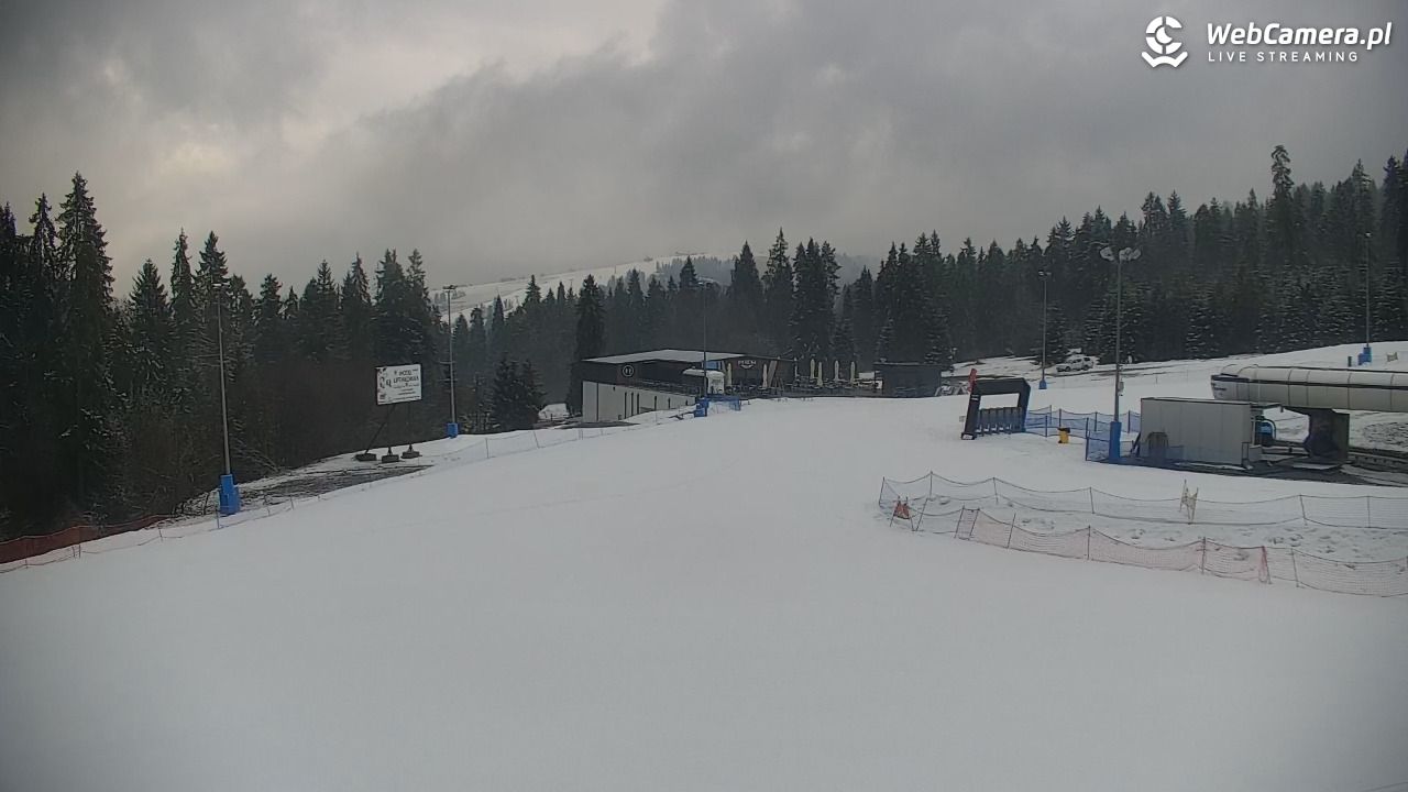 KOTELNICA - Pasieka Express - 21 marzec 2026, 07:36